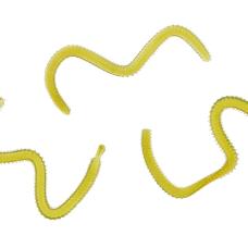 Aromatisierte Seeringelwürmer, Naturfarben