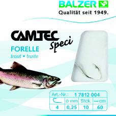 Forelle, Silber, 0,60m