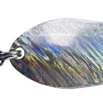 Trout Spoon IV